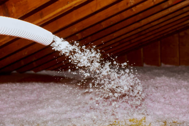 Best Insulation Maintenance and Repair in Lexington, MS