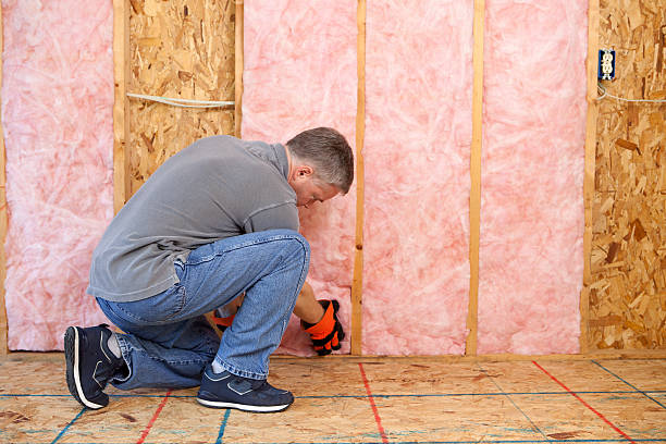 Best Residential Insulation in Lexington, MS